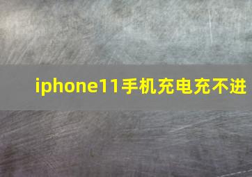 iphone11手机充电充不进