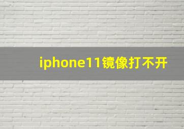 iphone11镜像打不开