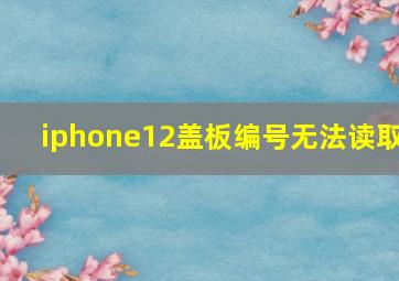 iphone12盖板编号无法读取