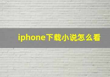 iphone下载小说怎么看