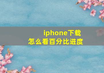 iphone下载怎么看百分比进度