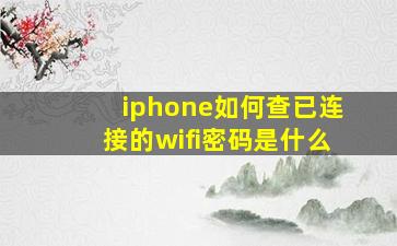 iphone如何查已连接的wifi密码是什么