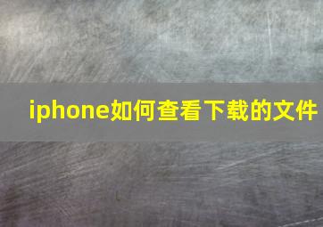 iphone如何查看下载的文件