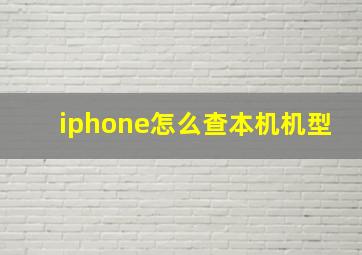 iphone怎么查本机机型