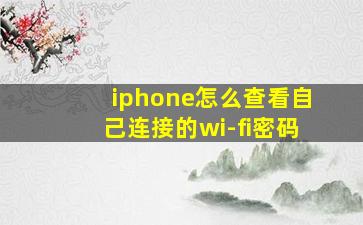 iphone怎么查看自己连接的wi-fi密码