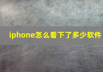 iphone怎么看下了多少软件