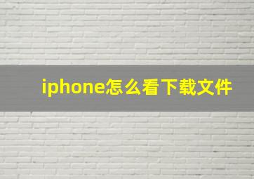 iphone怎么看下载文件