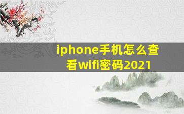 iphone手机怎么查看wifi密码2021