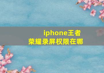 iphone王者荣耀录屏权限在哪