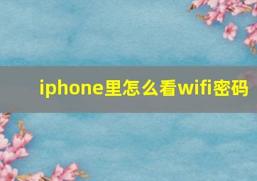 iphone里怎么看wifi密码