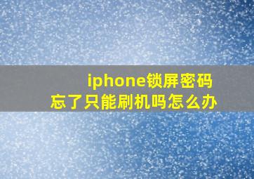 iphone锁屏密码忘了只能刷机吗怎么办