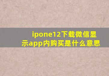 ipone12下载微信显示app内购买是什么意思