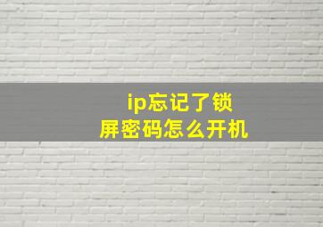 ip忘记了锁屏密码怎么开机