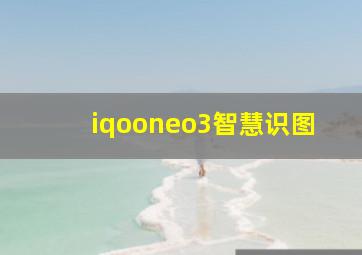 iqooneo3智慧识图