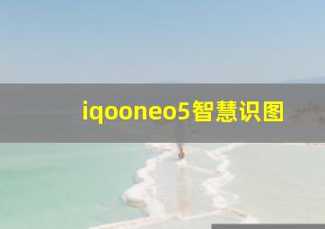 iqooneo5智慧识图