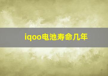 iqoo电池寿命几年