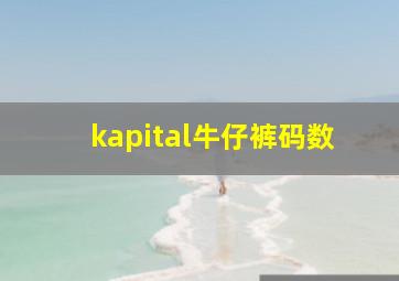 kapital牛仔裤码数