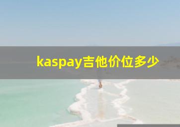 kaspay吉他价位多少