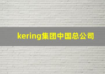 kering集团中国总公司