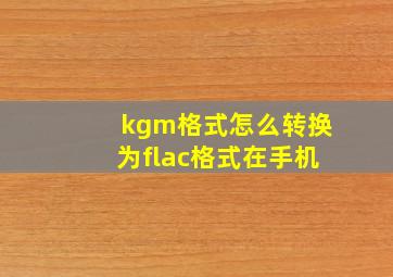 kgm格式怎么转换为flac格式在手机