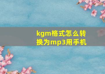 kgm格式怎么转换为mp3用手机