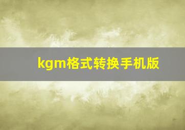 kgm格式转换手机版