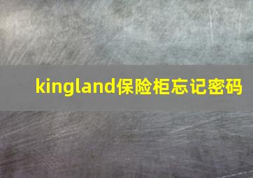 kingland保险柜忘记密码