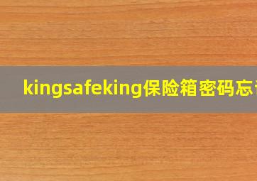 kingsafeking保险箱密码忘记