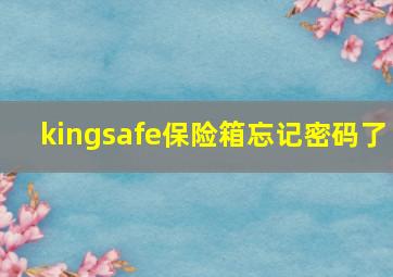 kingsafe保险箱忘记密码了