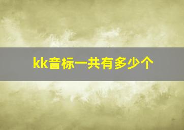 kk音标一共有多少个