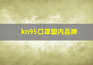 kn95口罩国内品牌