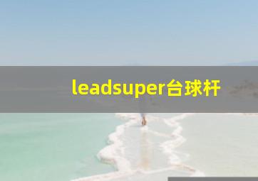 leadsuper台球杆