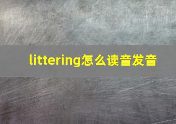 littering怎么读音发音