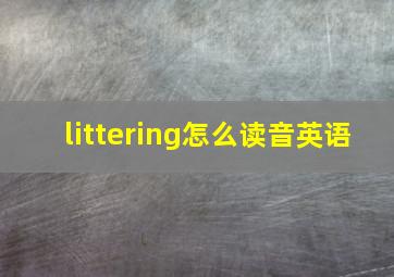 littering怎么读音英语