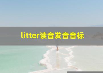 litter读音发音音标