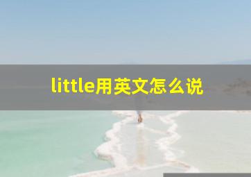 little用英文怎么说