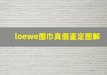 loewe围巾真假鉴定图解