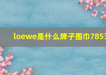 loewe是什么牌子围巾7853