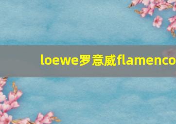 loewe罗意威flamenco