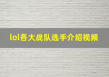 lol各大战队选手介绍视频