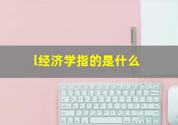 l经济学指的是什么