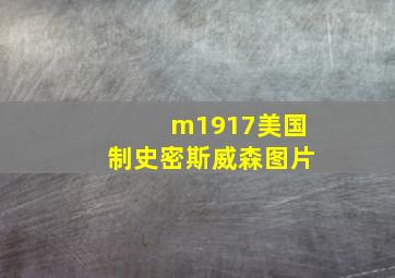 m1917美国制史密斯威森图片