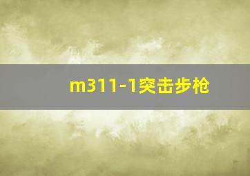 m311-1突击步枪