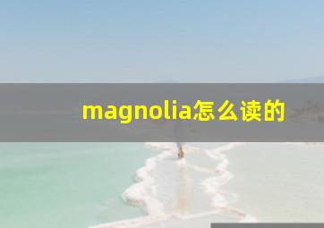 magnolia怎么读的