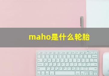 maho是什么轮胎