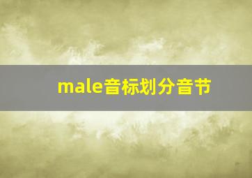 male音标划分音节