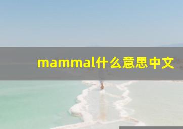 mammal什么意思中文