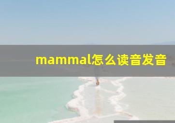 mammal怎么读音发音