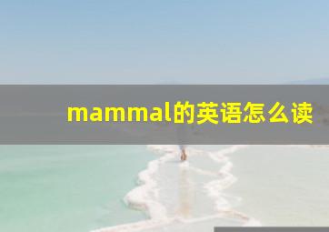 mammal的英语怎么读