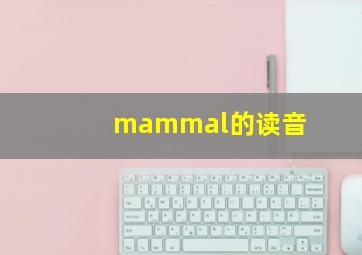 mammal的读音